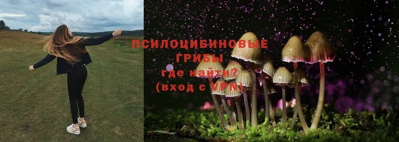 Галлюциногенные грибы Magic Shrooms  Калач-на-Дону 